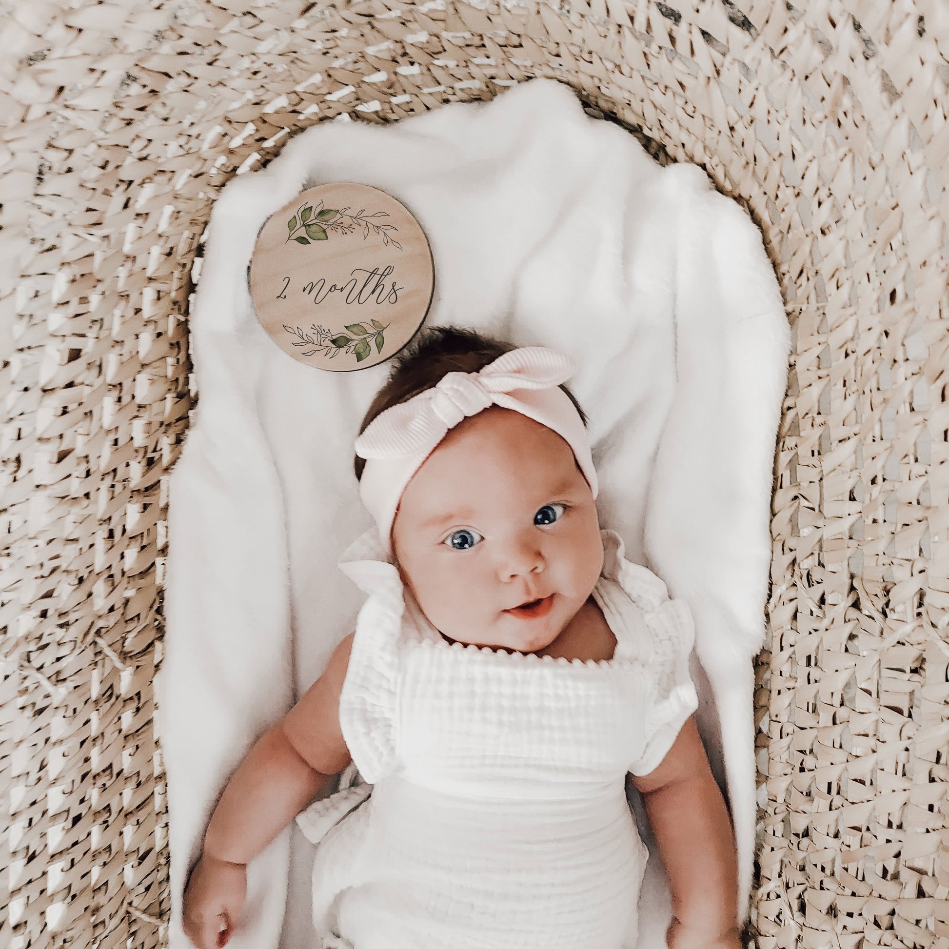 Amelia - Wreath Baby Monthly Milestone Set