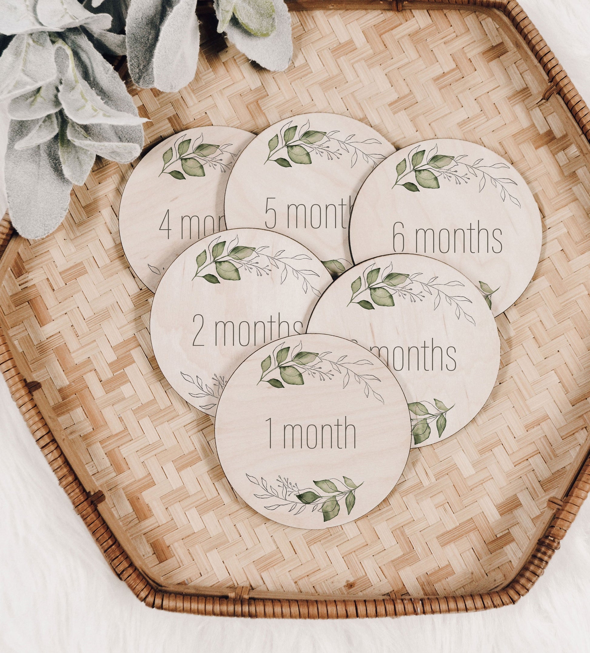 Amelia - Wreath Baby Monthly Milestone Set