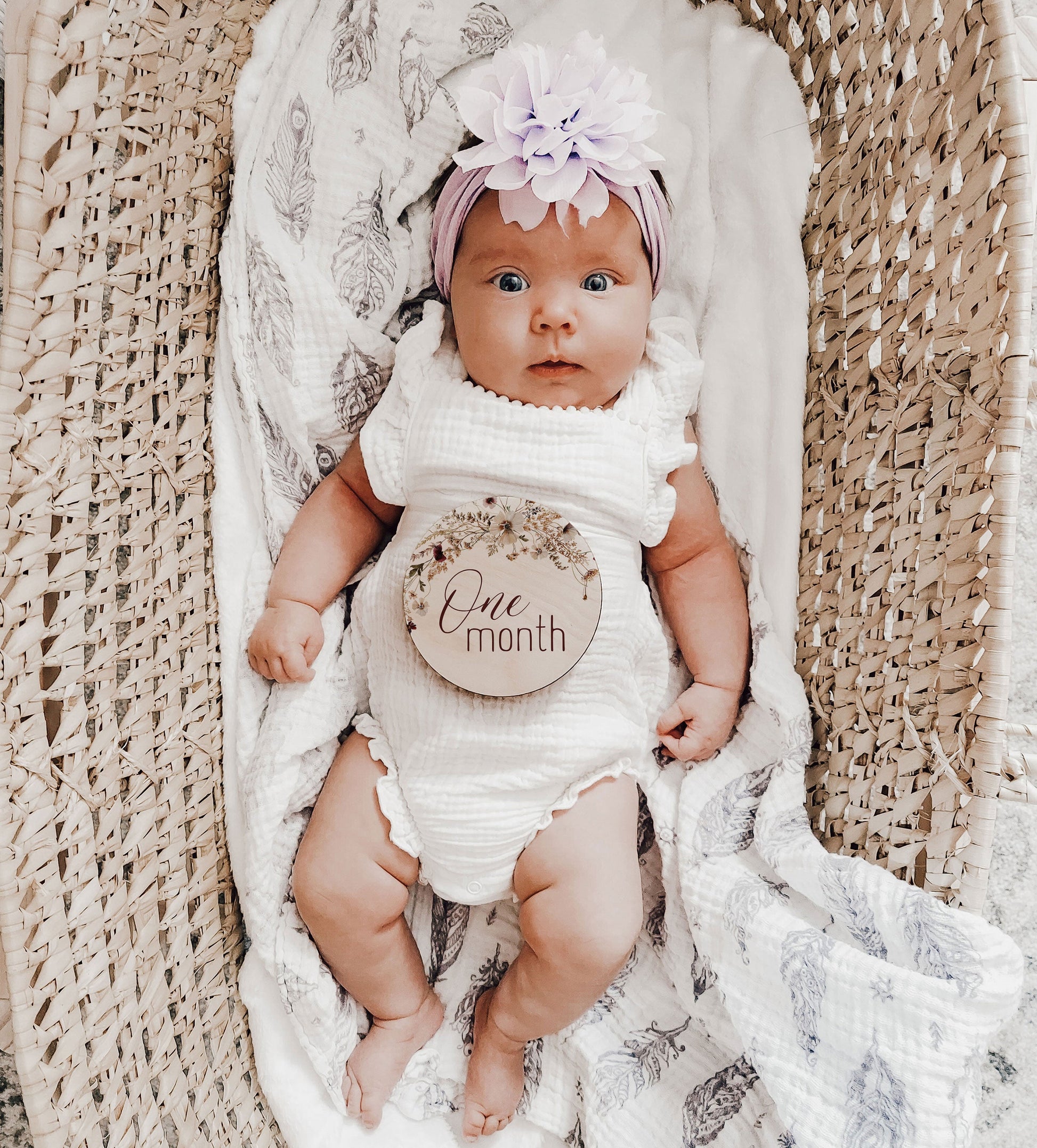 Autumn Collection- Baby Monthly Milestone Set