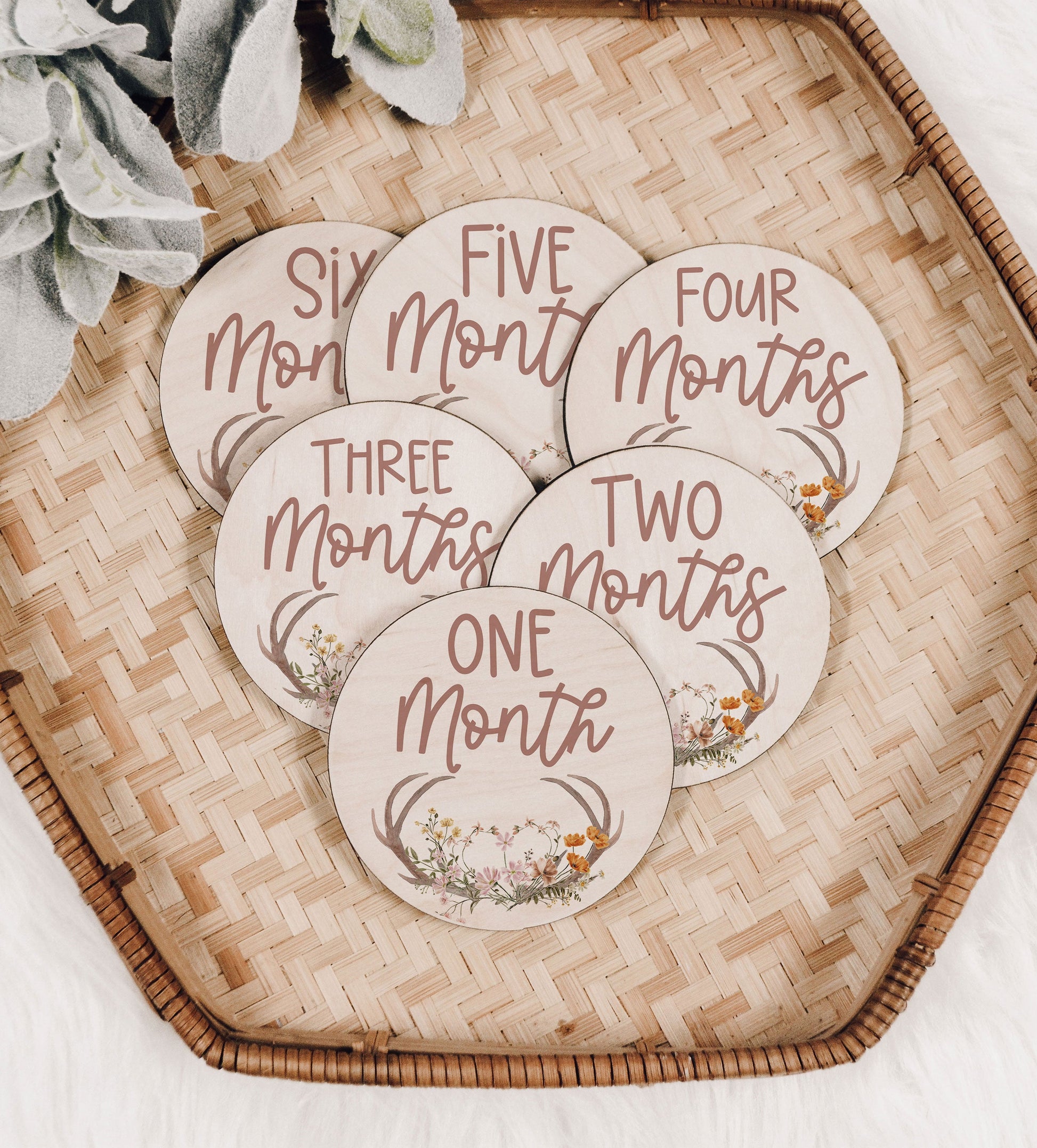 Antlers & Wildflowers Baby Milestone Markers Month to Month Engraved Wood Cutout Baby Milestone Monthly Milestone Picture Prop Shower Gift