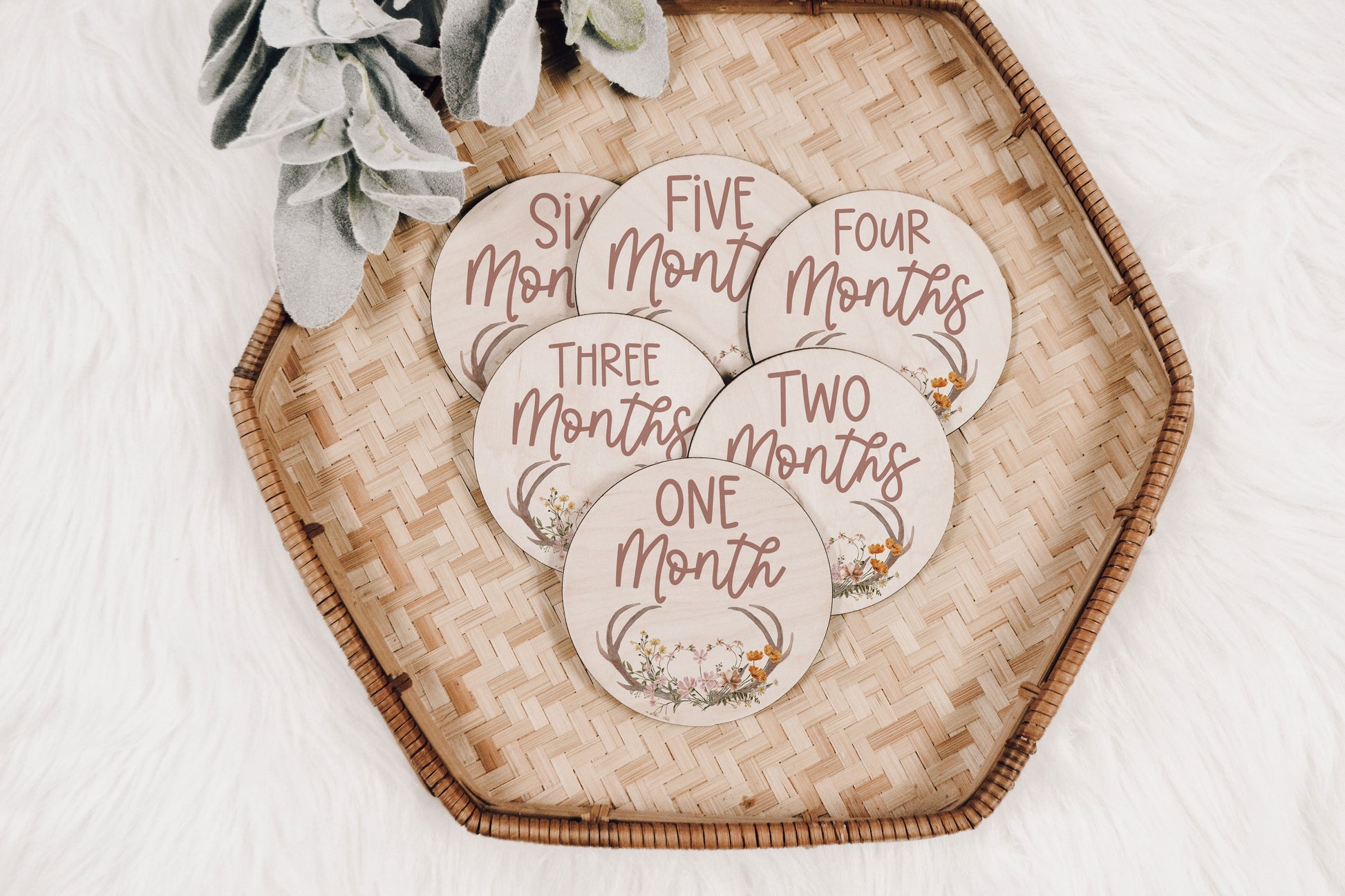 Antlers & Wildflowers Baby Milestone Markers Month to Month Engraved Wood Cutout Baby Milestone Monthly Milestone Picture Prop Shower Gift