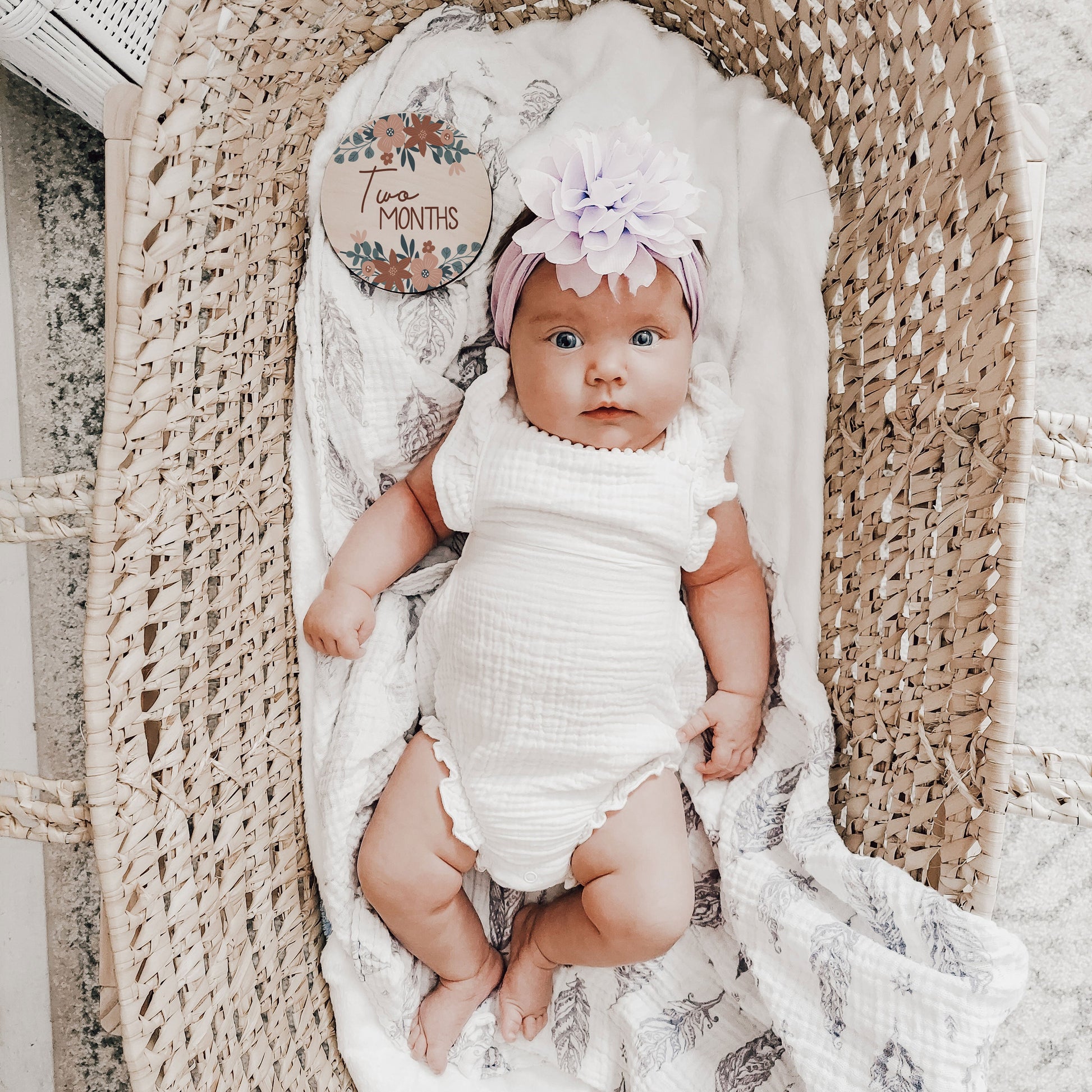 Abigail Collection Baby Monthly Milestone Set
