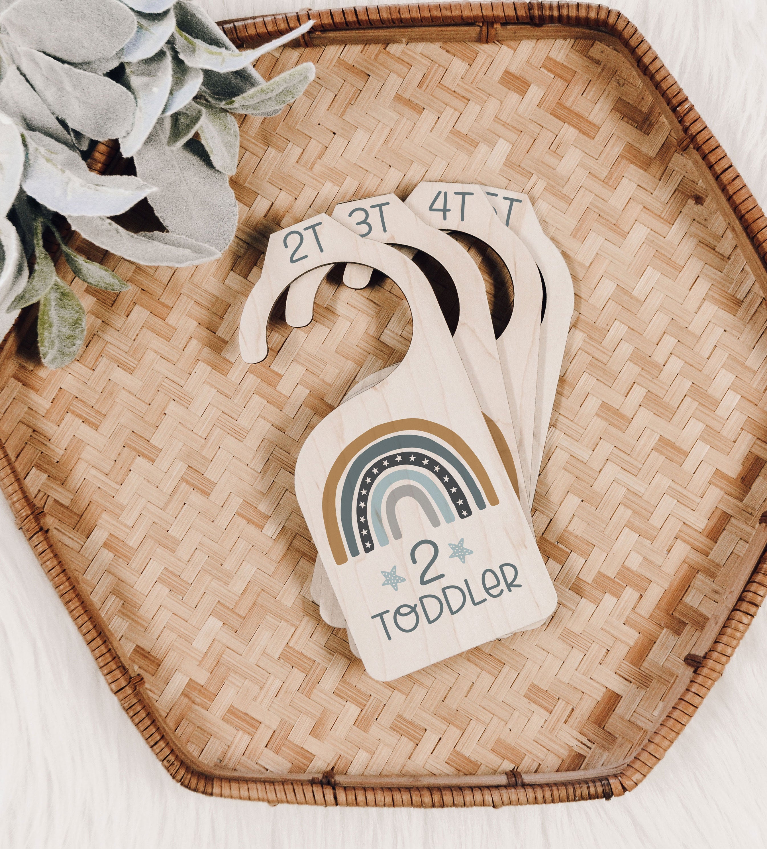 Rainbow Baby Boy Nursery Closet Divider